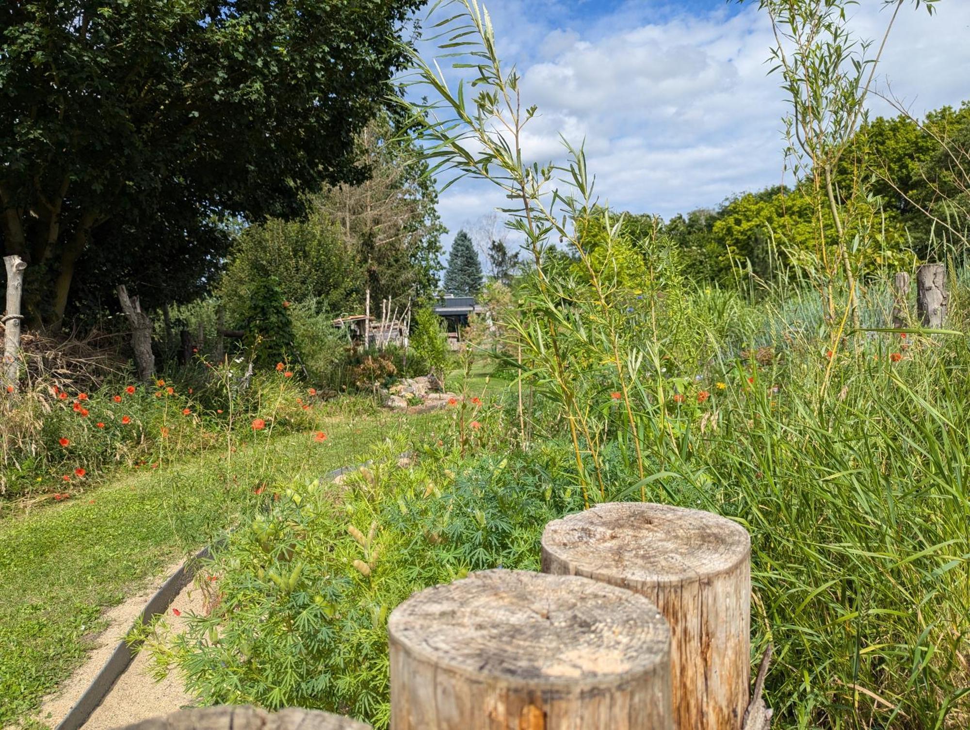 Ferienhaus Naturwerk Schwarzach am Main Exterior photo